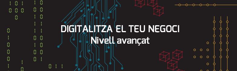 Digitalitza el teu negoci! Nivell avançat (Sessió on-line)