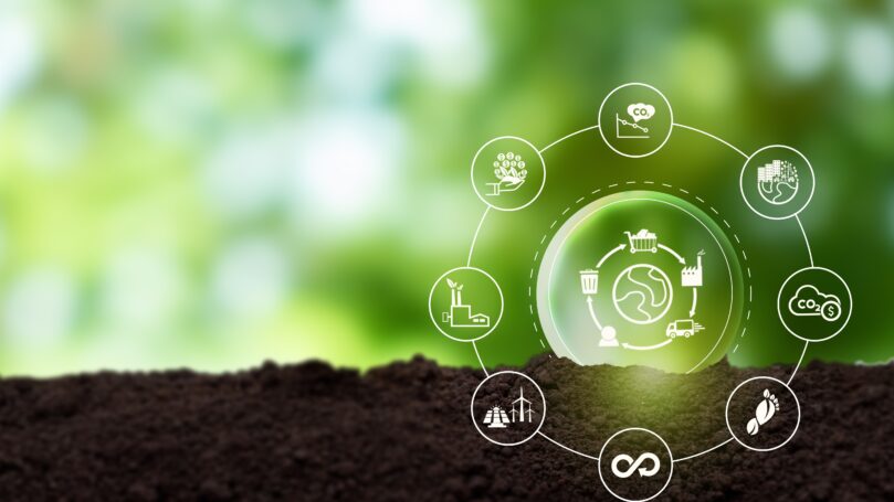 Taller Enfoca el teu negoci cap a l’economia circular i sostenible (octubre 2023)